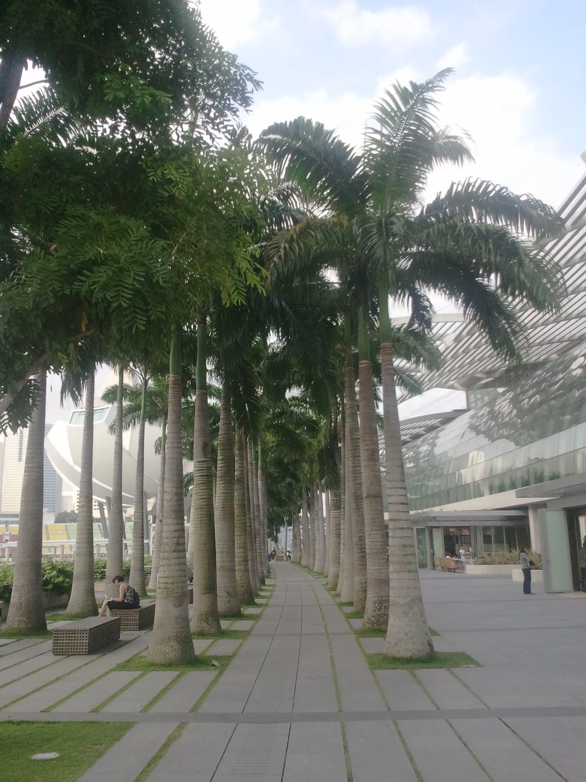 Palms illustration from IEEE VR 2011 in Singapore